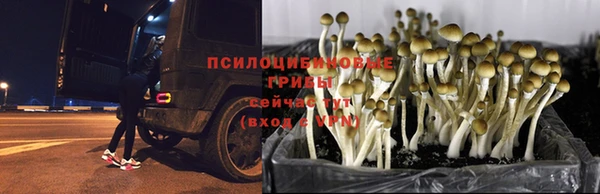 мяу мяу кристалл Волосово